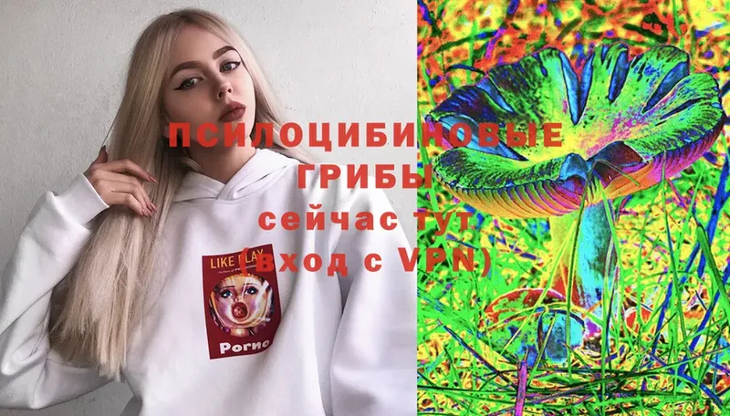 сайты даркнета состав  Зеленогорск  Псилоцибиновые грибы Magic Shrooms 